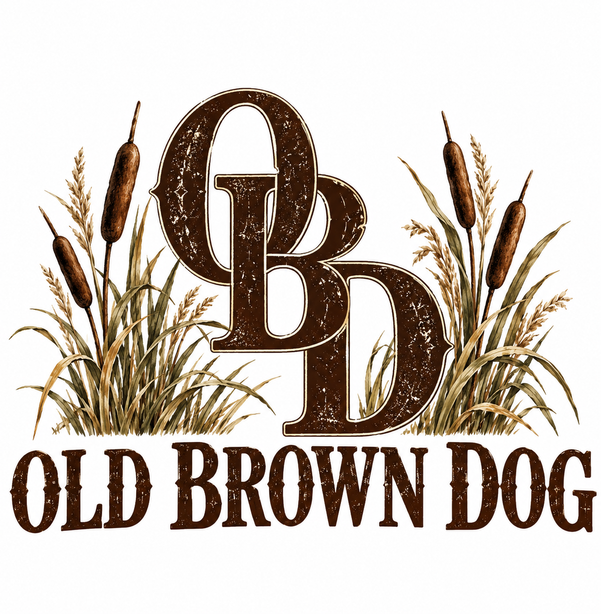 Old Brown Dog